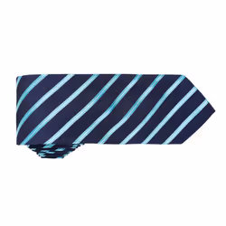 Premier Mens Stripe Tie - One Size, Navy/Turquoise