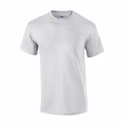 Gildan Mens Cotton T-Shirt - S, Ash