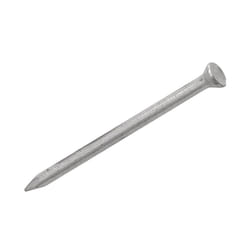 Securit Masonry Nails (Pack of 10)