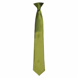 Premier Unisex Adult Satin Tie - One Size, Oasis Green