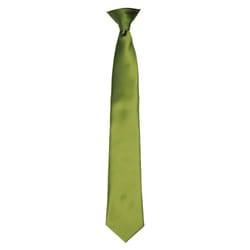 Premier Unisex Adult Satin Tie - One Size, Oasis Green