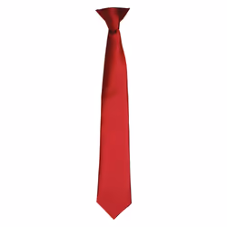 Premier Unisex Adult Satin Tie - One Size, Burgundy