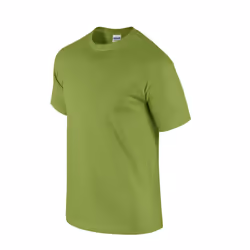 Gildan Mens Ultra Cotton T-Shirt - M, Kiwi