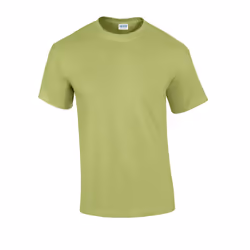 Gildan Mens Ultra Cotton T-Shirt - XL, Pistachio