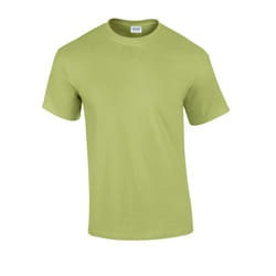 Gildan Mens Ultra Cotton T-Shirt - XL, Pistachio