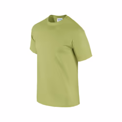 Gildan Mens Ultra Cotton T-Shirt - XL, Pistachio
