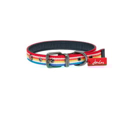 Joules Rainbow Striped Dog Collar - M, Multicoloured
