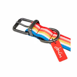 Joules Rainbow Striped Dog Collar - M, Multicoloured