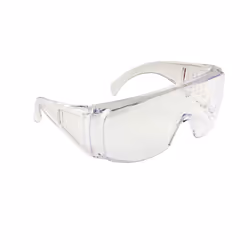 Portwest Visitor Safety Glasses