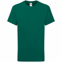 Fruit of the Loom Childrens/Kids Iconic 195 Plain T-Shirt - 12-13 Years, College Green