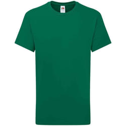 Fruit of the Loom Childrens/Kids Iconic 195 Plain T-Shirt - 12-13 Years, College Green