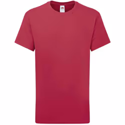 Fruit of the Loom Childrens/Kids Iconic 195 Plain T-Shirt - 12-13 Years, Cranberry