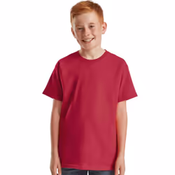 Fruit of the Loom Childrens/Kids Iconic 195 Plain T-Shirt - 12-13 Years, Cranberry