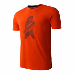 Dare 2B Mens Movement II Bear T-Shirt - XS, Cinnamon