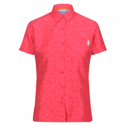 Regatta Womens/Ladies Mindano VIII Ditsy Print Short-Sleeved Shirt - 8 UK, Flamingo Pink Potion
