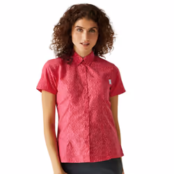 Regatta Womens/Ladies Mindano VIII Ditsy Print Short-Sleeved Shirt - 8 UK, Flamingo Pink Potion