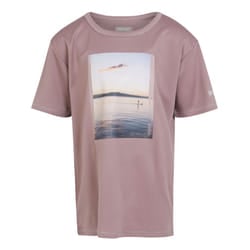 Regatta Childrens/Kids Alvardo VIII Scenery T-Shirt - 7-8 Years, Heather