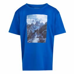 Regatta Childrens/Kids Alvardo VIII Mountain T-Shirt - 14 Years, Oxford Blue