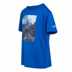 Regatta Childrens/Kids Alvardo VIII Mountain T-Shirt - 14 Years, Oxford Blue