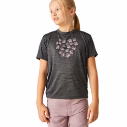 Regatta Childrens/Kids Alvardo VIII Paw Print Marl T-Shirt - 14 Years, Seal Grey