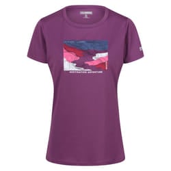 Regatta Womens/Ladies Fingal VIII Terrain Print T-Shirt - 8 UK, Sunset Purple