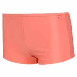 Regatta Great Outdoors Womens/Ladies Aceana Bikini Shorts - 20, Shell Pink
