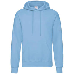 Fruit Of The Loom Unisex Adults Classic Hooded Sweatshirt - S, Sky Blue