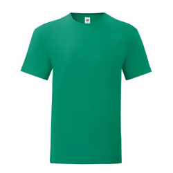 Fruit of the Loom Mens Iconic 150 T-Shirt - L, Kelly Green