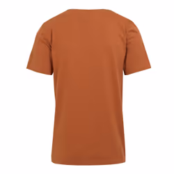 Regatta Mens Cline VIII River T-Shirt - 3XL, Baked Clay