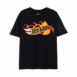 Hot Wheels Mens Flames Logo T-Shirt - 3XL, Black