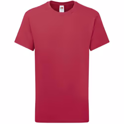 Fruit of the Loom Childrens/Kids Iconic 195 Premium T-Shirt - 12-13 Years, Cranberry