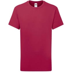 Fruit of the Loom Childrens/Kids Iconic 195 Premium T-Shirt - 12-13 Years, Cranberry