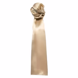 Premier Colours Plain Scarf - One Size, Khaki