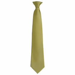 Premier Unisex Adult Colours Fashion Plain Clip-On Tie - One Size, Grass Green