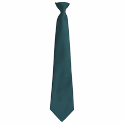 Premier Unisex Adult Colours Fashion Plain Clip-On Tie - One Size, Bottle