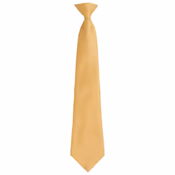 Premier Unisex Adult Colours Fashion Plain Clip-On Tie - One Size, Gold
