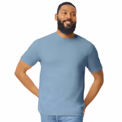Gildan Mens Short Sleeve Soft-Style T-Shirt - L, Stone Blue