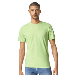 Gildan Mens Short Sleeve Soft-Style T-Shirt - 3XL, Pistachio