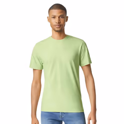 Gildan Mens Short Sleeve Soft-Style T-Shirt - 2XL, Pistachio