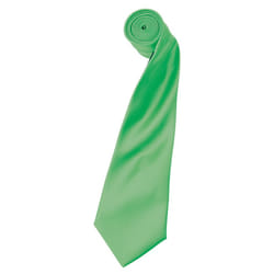 Premier Unisex Adult Colours Satin Tie - One Size, Apple Green