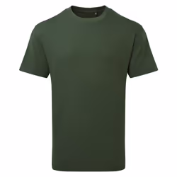 Anthem Mens Heavyweight T-Shirt - XS, Forest Green