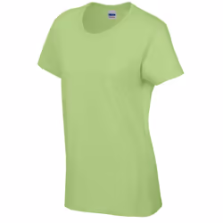 Gildan Womens/Ladies Heavy Cotton T-Shirt - S, Mint Green
