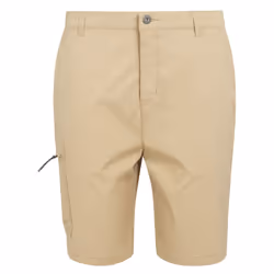 Regatta Mens Dalry Multi Pocket Shorts - 30R, Oat