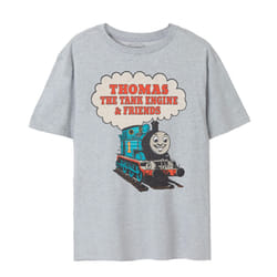 Thomas And Friends Mens Vintage T-Shirt - 3XL, Grey Marl