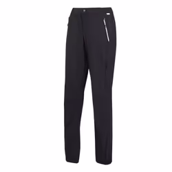 Regatta Womens/Ladies Mountain III Hiking Trousers - 16 UK, Black