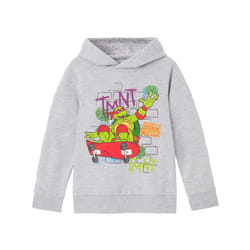 Teenage Mutant Ninja Turtles Childrens/Kids Shell Skater Hoodie - 3-4 Years, Grey Marl