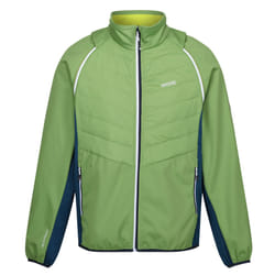 Regatta Mens Steren II Softshell Hybrid Jacket - L, Piquant Green/Moroccan Blue/Citron Lime