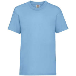 Fruit of the Loom Childrens/Kids Value T-Shirt - 1-2 Years, Sky Blue