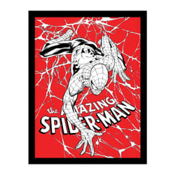 Spider-Man Spider Web Framed Poster