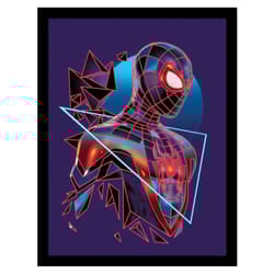 Spider-Man Geometric Framed Poster